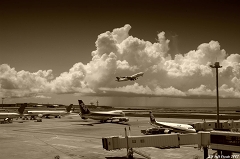 JAL 747 sepia
